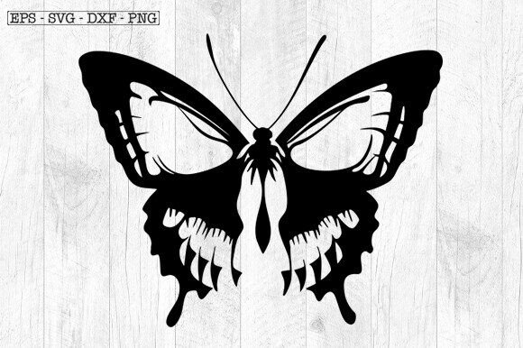 Butterfly Skull Svg, Skeleton Svg